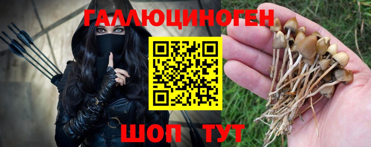 Бийск  Псилоцибиновые грибы Magic Shrooms  Вход с VPN 