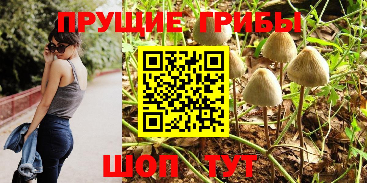 Псилоцибиновые грибы GOLDEN TEACHER Бийск